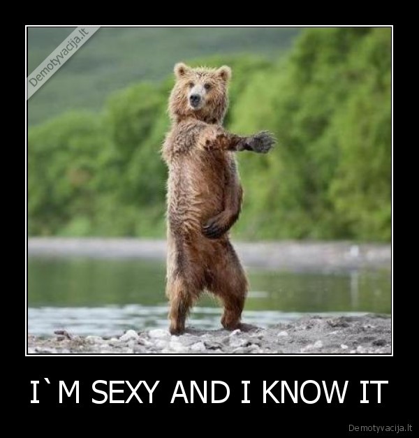 I`M SEXY AND I KNOW IT