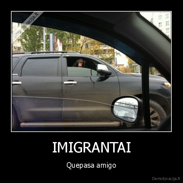 IMIGRANTAI