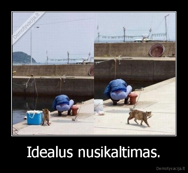 Idealus nusikaltimas.