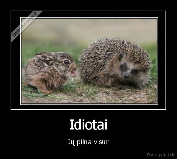 Idiotai