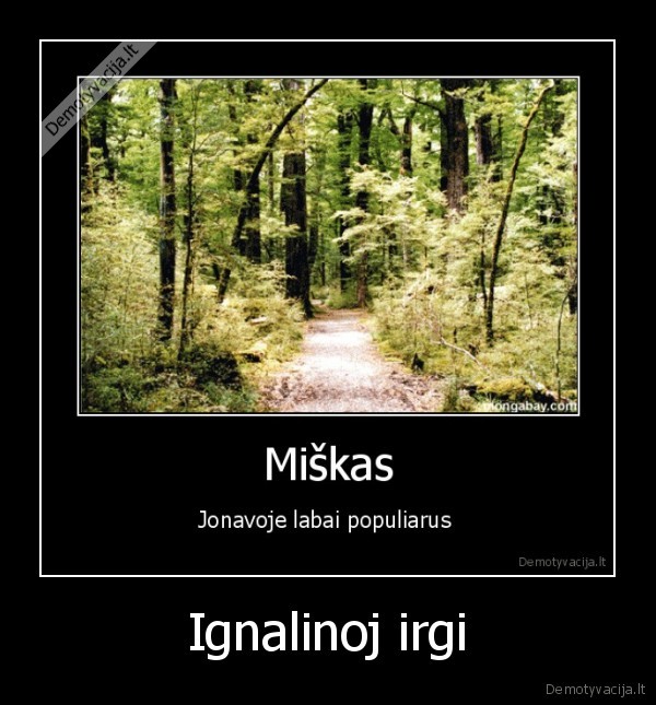 ignalina,irgi,miestas