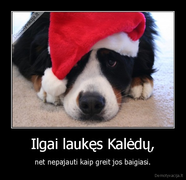 kaledos,laukimas,baigiasi,suo