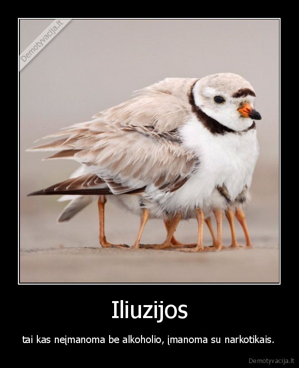 Iliuzijos