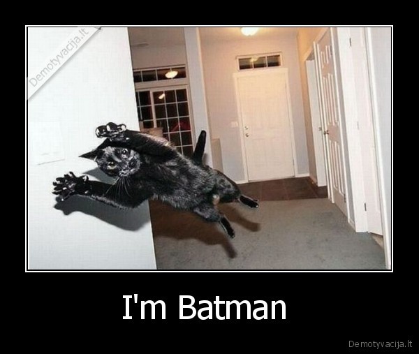 I'm Batman 