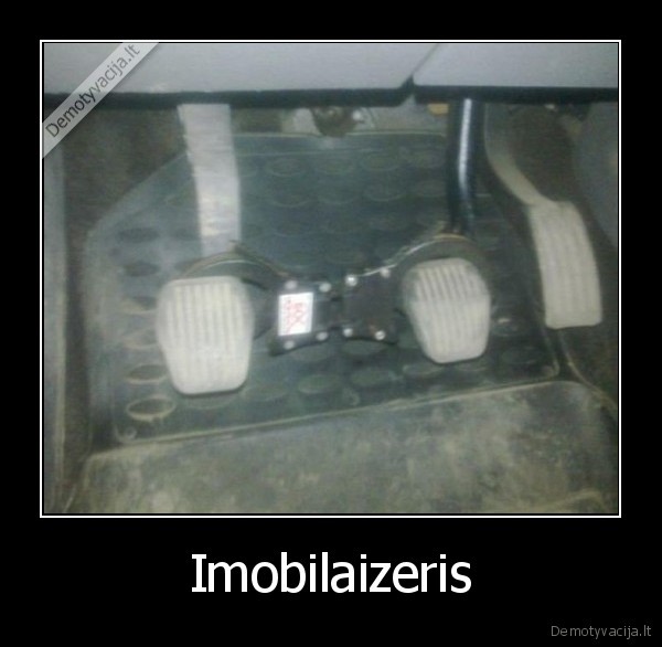 Imobilaizeris