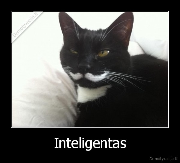 Inteligentas