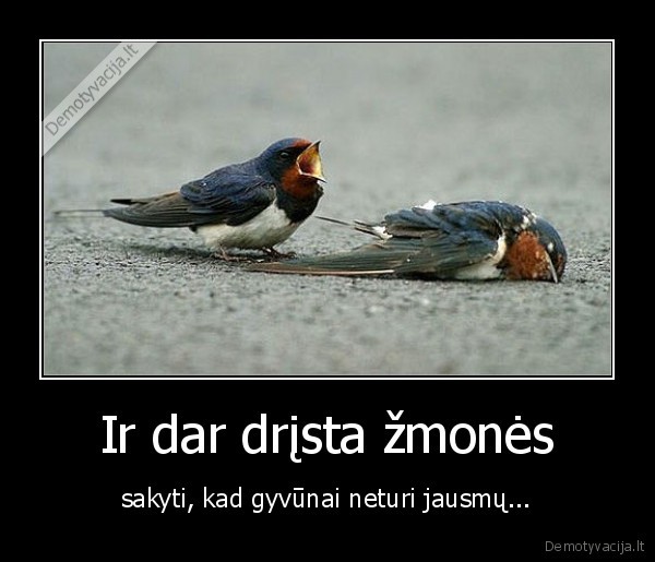 Ir dar drįsta žmonės