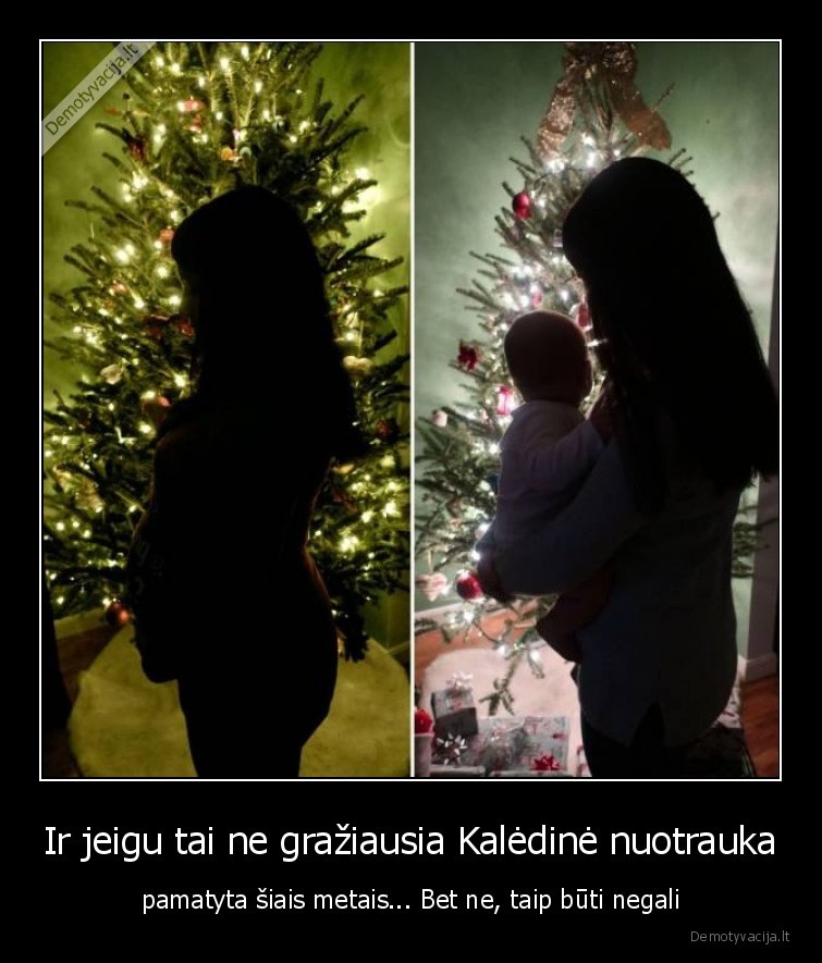 nuotrauka,graziausia,kaledine