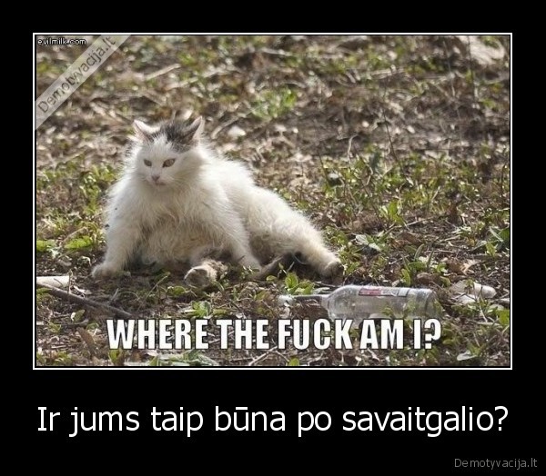 Ir jums taip būna po savaitgalio?