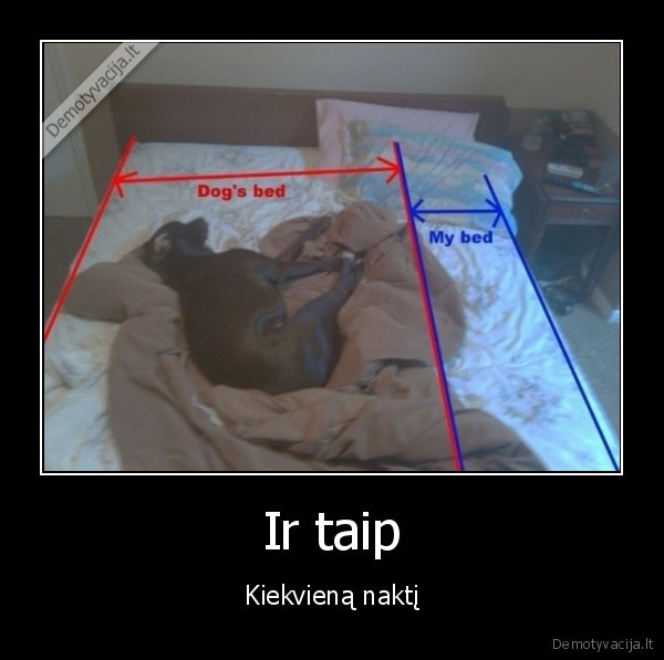 Ir taip