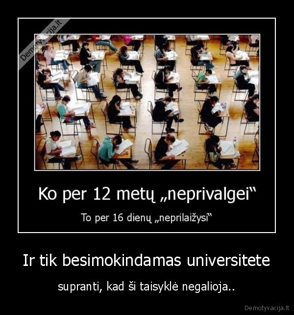 universitetas,taisykle