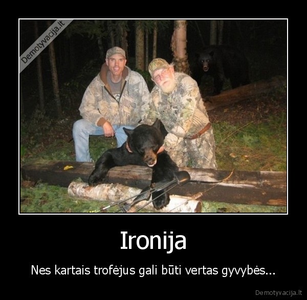 Ironija