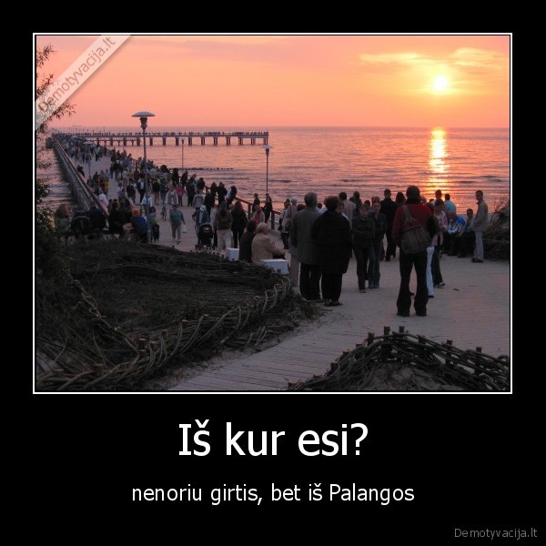 mano, miestas, palanga