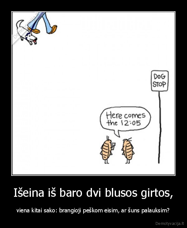 Išeina iš baro dvi blusos girtos,