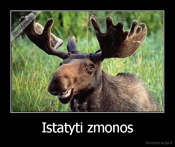 Istatyti zmonos