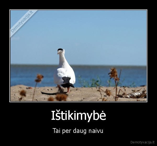 Ištikimybė