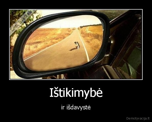 isdavyste,suo