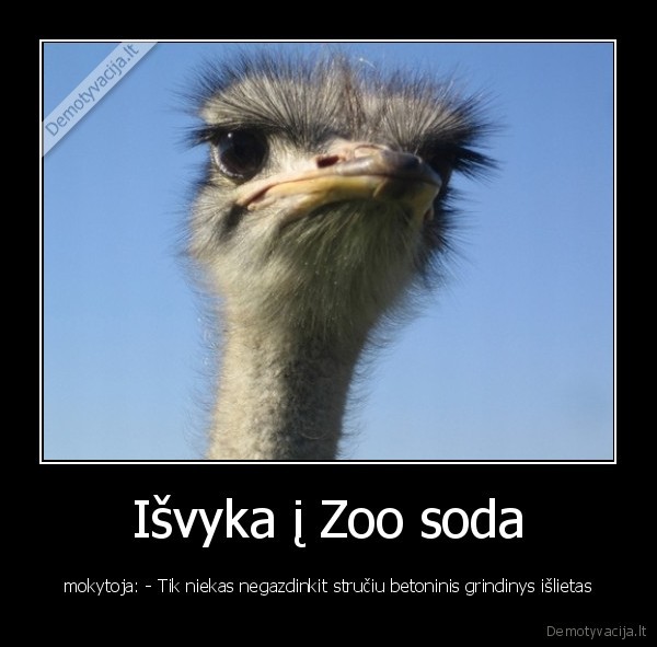 Išvyka į Zoo soda