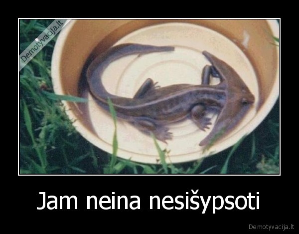 Jam neina nesišypsoti