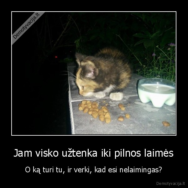 Jam visko užtenka iki pilnos laimės