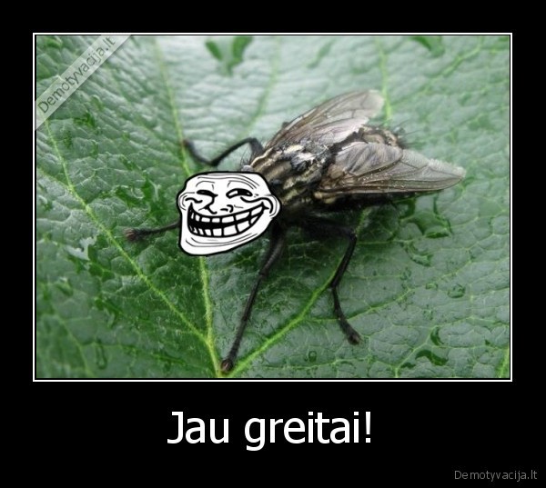 Jau greitai!