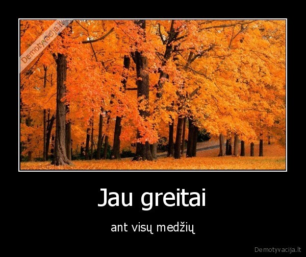 Jau greitai