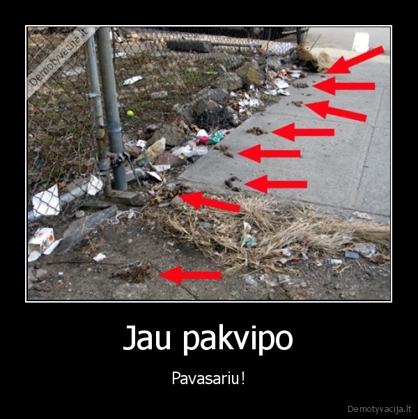 Jau pakvipo