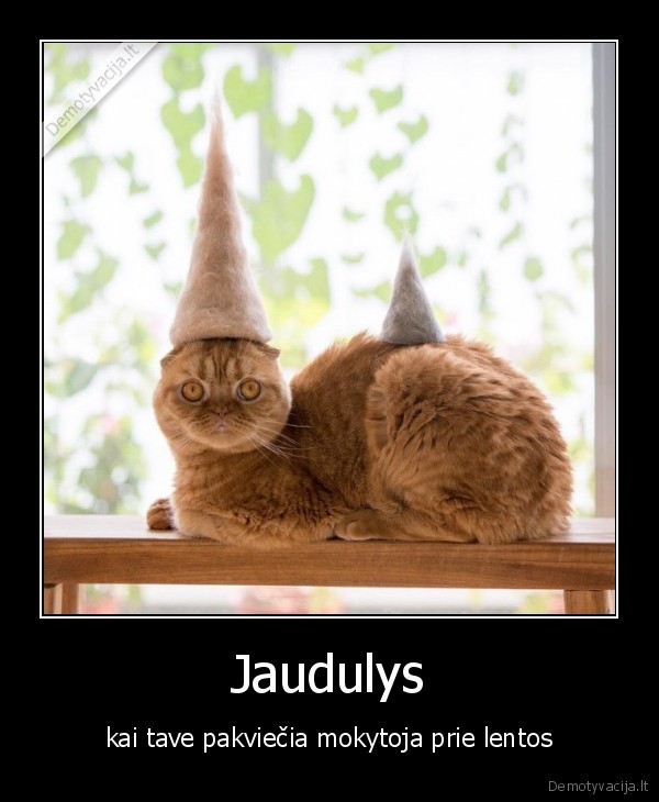 Jaudulys