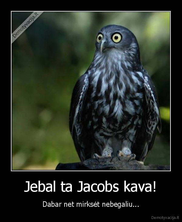 Jebal ta Jacobs kava!