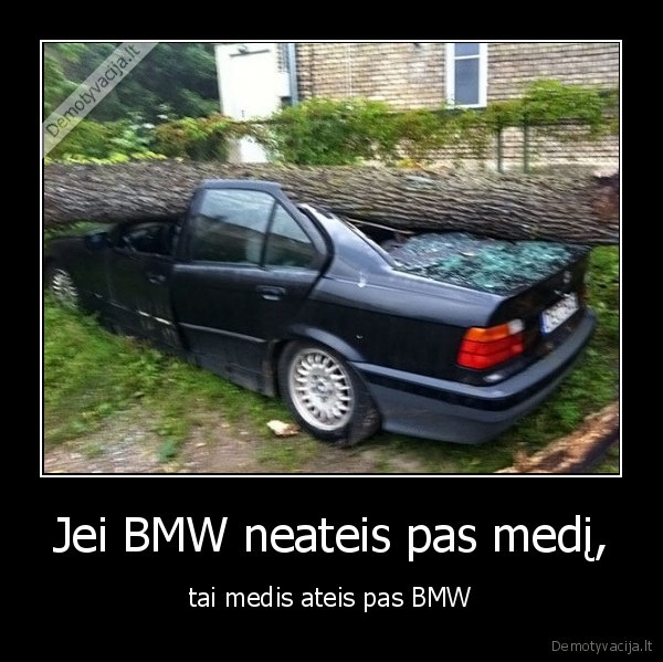 Jei BMW neateis pas medį,