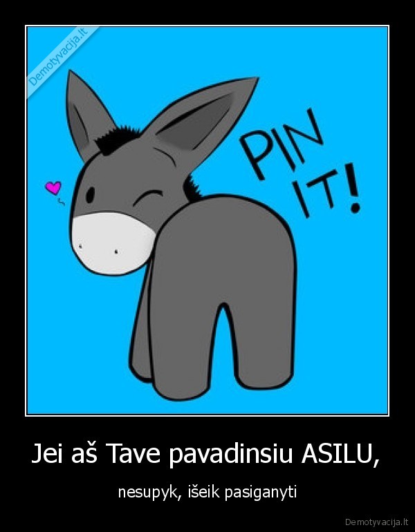 Jei aš Tave pavadinsiu ASILU,