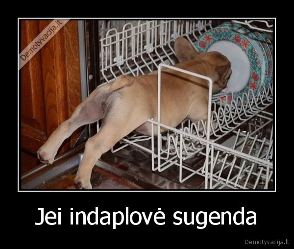 Jei indaplovė sugenda