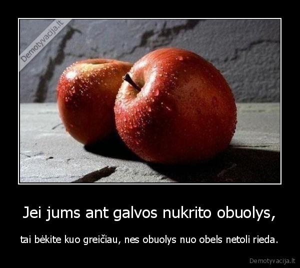 Jei jums ant galvos nukrito obuolys,