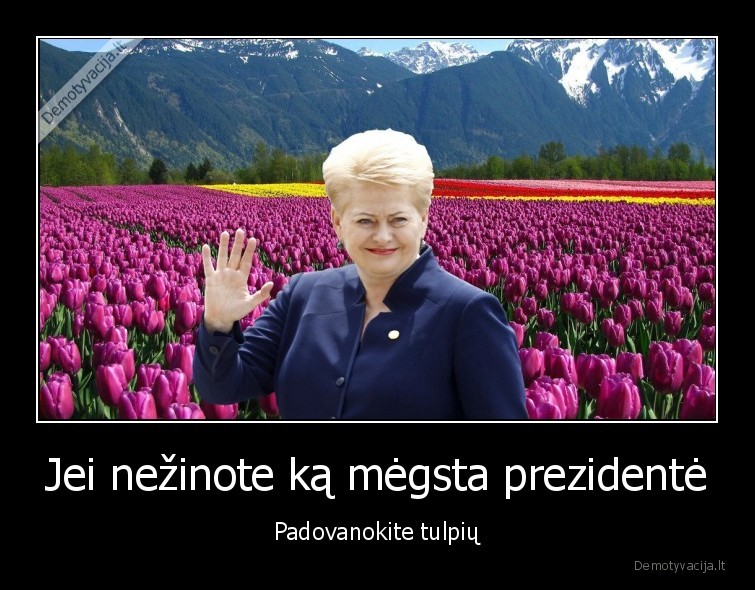 prezidente,lietuvos, respublika,tulpes,geles,dalia, grybauskaite