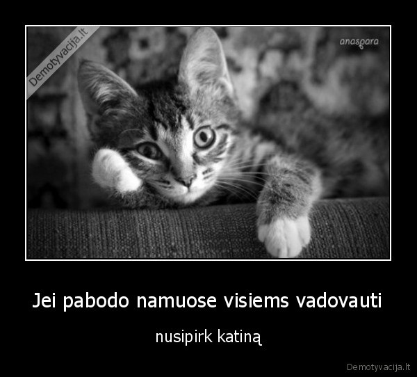 Jei pabodo namuose visiems vadovauti