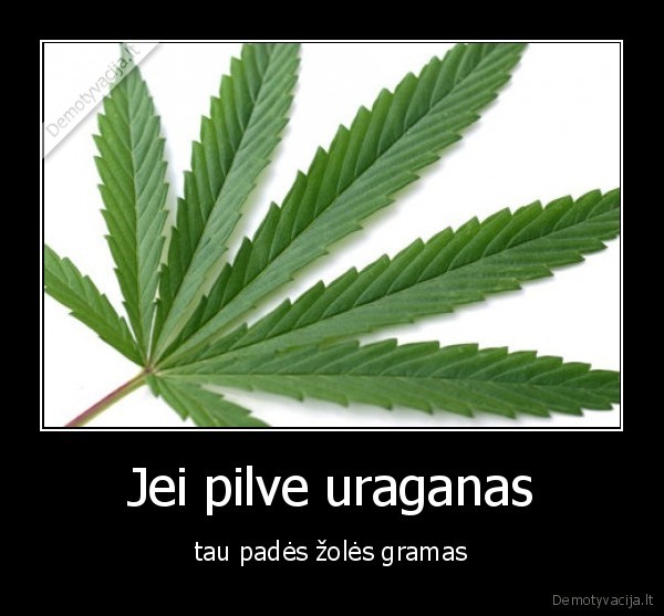 Jei pilve uraganas