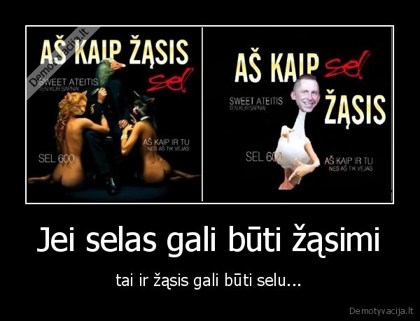 selas,sel,zasis,as,kaip,zasis