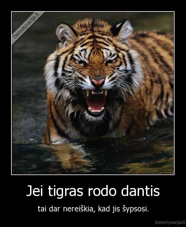 Jei tigras rodo dantis