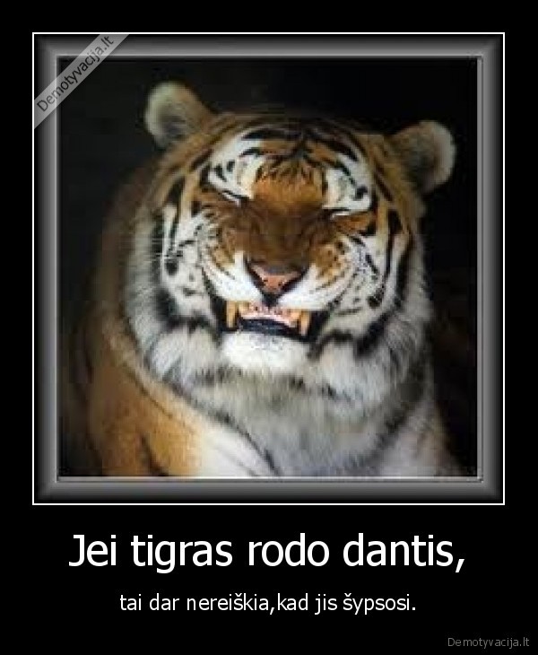 Jei tigras rodo dantis,