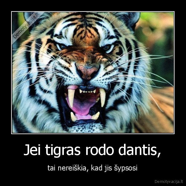 Jei tigras rodo dantis,