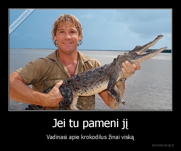 steve, irwin