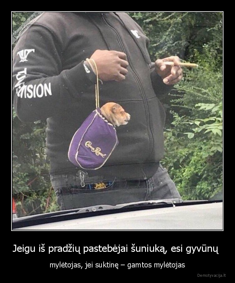 suniukas,suktine,gamta,gyvunai