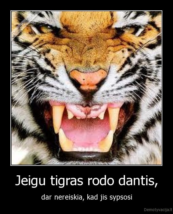 Jeigu tigras rodo dantis,