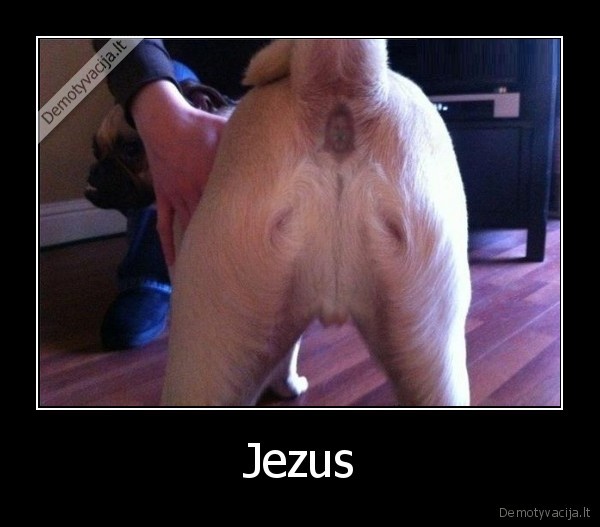 Jezus