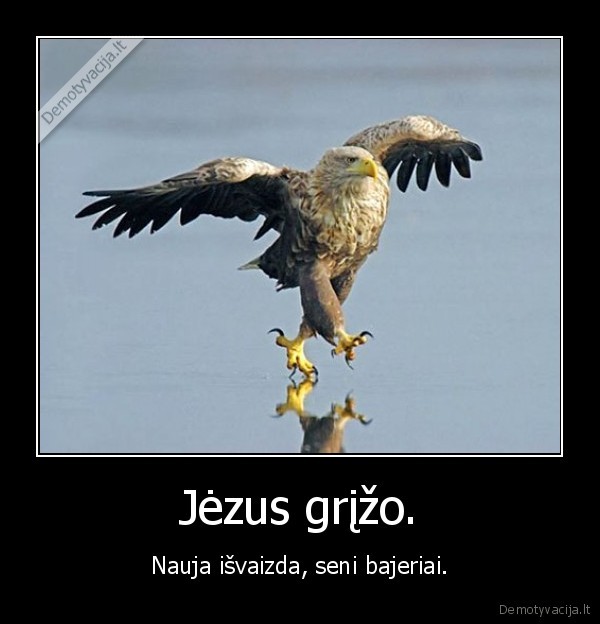 bird, jesus