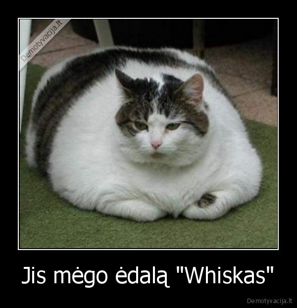 Jis mėgo ėdalą &quot;Whiskas&quot;