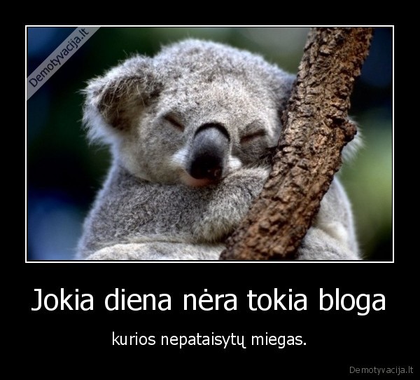 miegas,bloga, diena