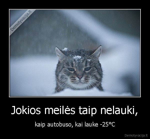 Jokios meilės taip nelauki,