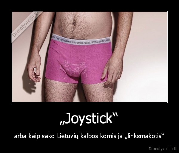 „Joystick“