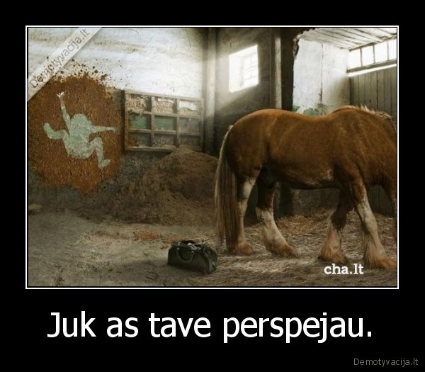 Juk as tave perspejau.